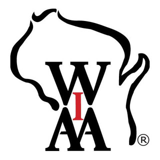 WIAA Concussion Info